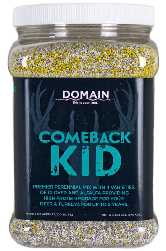 Domain Comeback Kid