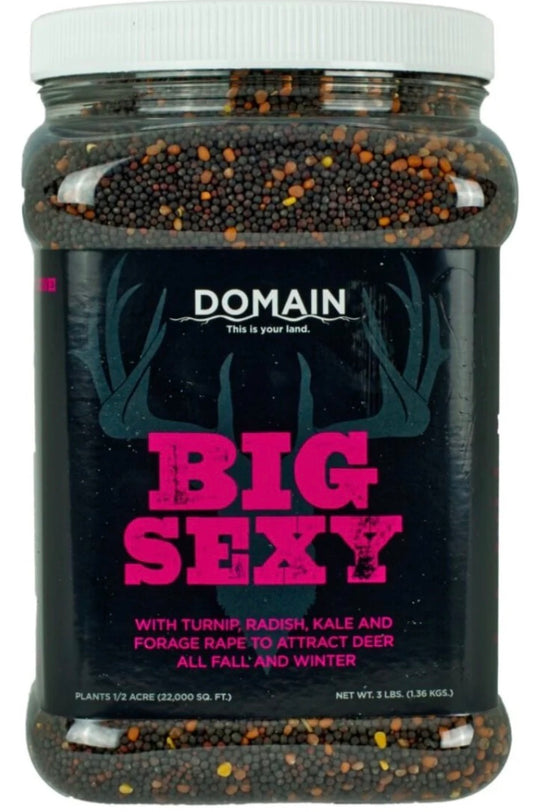 Domain Big Sexy